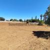Parcela de 6.300 m2 con Casa a Reformar, Callejón Borreguito. Chiclana. Inversión junto Hotel Fuentemar